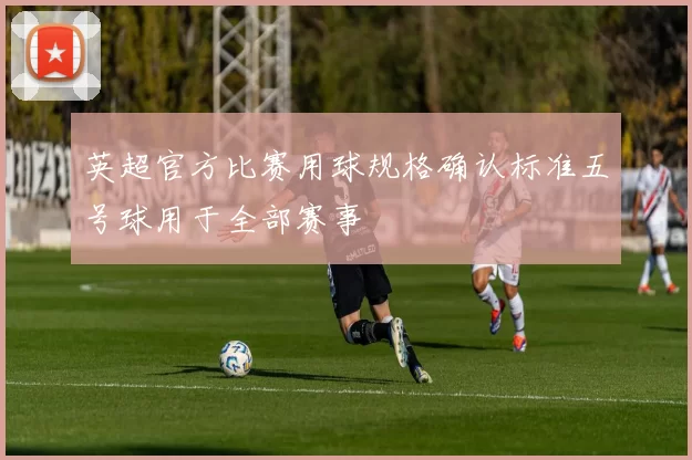 英超官方比赛用球规格确认标准五号球用于全部赛事