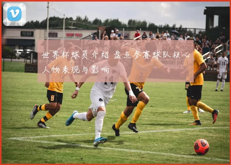 世界杯球员介绍 盘点参赛球队核心人物表现与影响