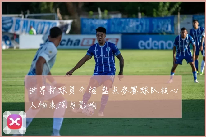 世界杯球员介绍 盘点参赛球队核心人物表现与影响